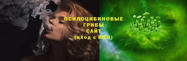 амф Новозыбков