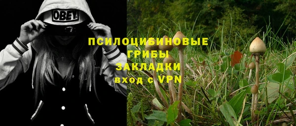 эйфоретик Абаза