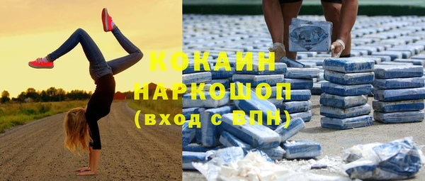 амф Новозыбков
