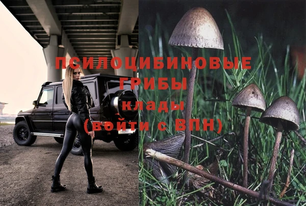 экстази Алексин