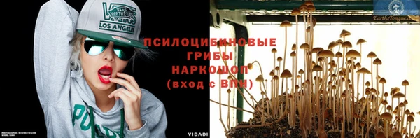 экстази Алексин